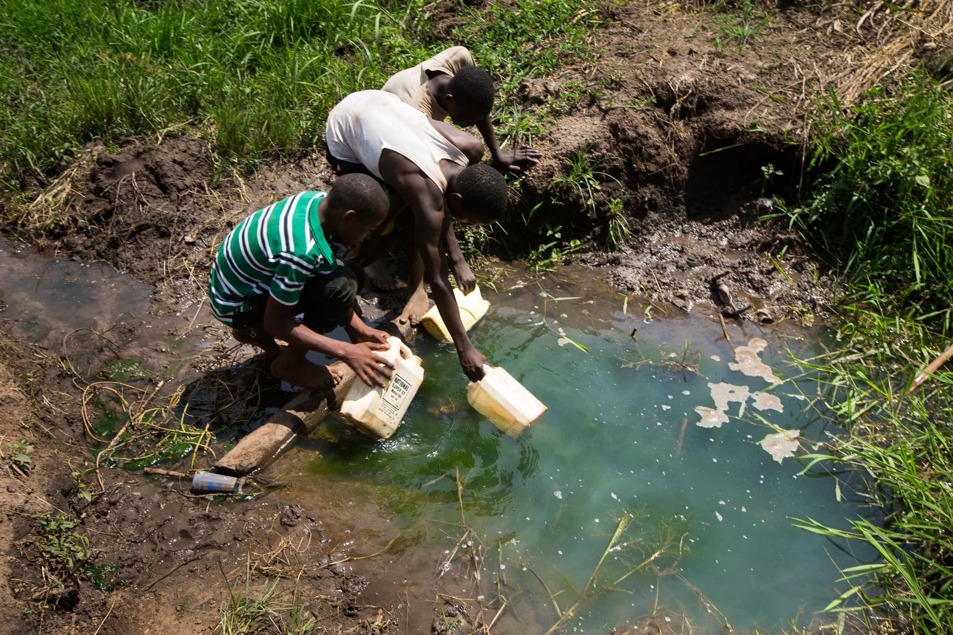 Families collecting unsafe water