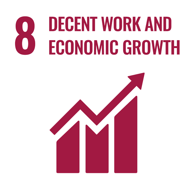 SDG 08